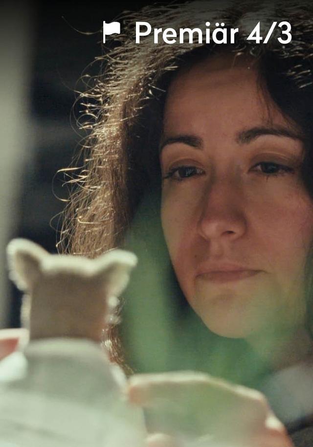 Miniatyrmakaren - en film om Niki Lindroth von Bahr
